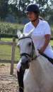 paard en ruiter